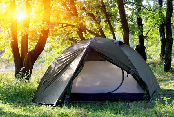 Tourist Tent Green Forest — Fotografia de Stock