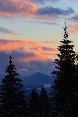 Slovakya 'daki Tatra dağlarında akşam manzarası