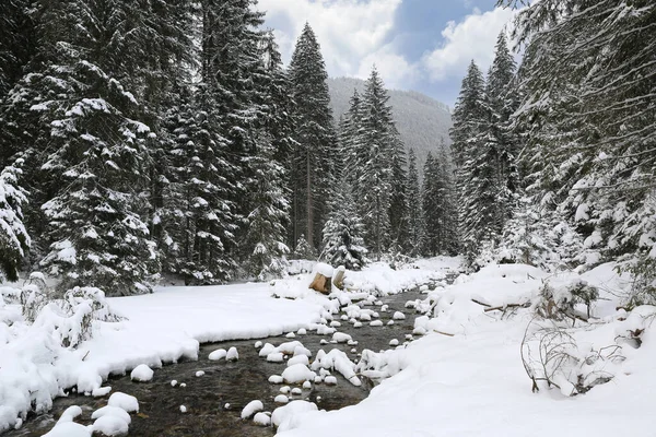 Winterlandschap Met Rivier Bergen Neem Slowakije — Stockfoto