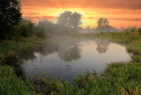 Paesaggio Mattutino Con Nebbia Sul Laghetto Steppa — Foto Stock