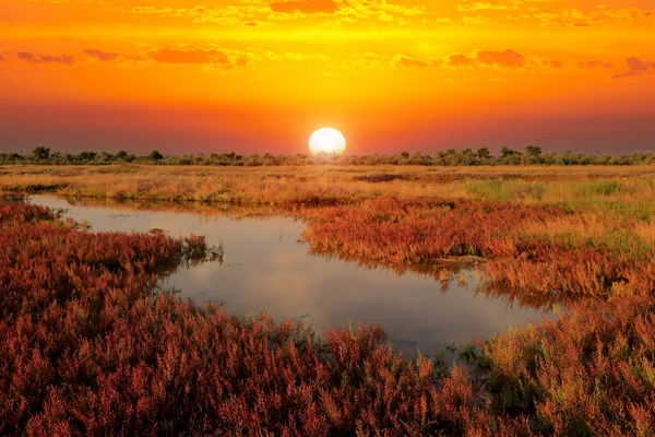 Red Sunset Scene Pond Steppe — Stock Photo, Image