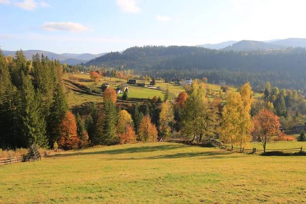 カルパチア山脈 ウクライナの農村部の牧草地と素晴らしい風景 — ストック写真