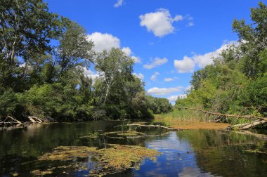 Ukrayna 'nın küçük gölünde güzel bir yaz günü.