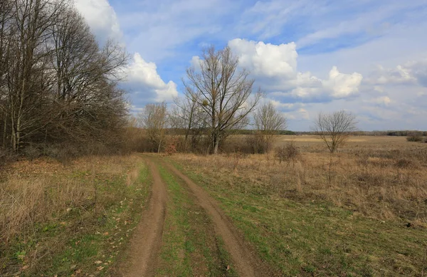 春の草原の未舗装の道路の風景 ウクライナでの滞在 — ストック写真