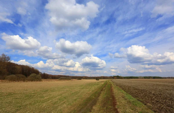 Feldweg Entlang Eines Landwirtschaftlichen Feldes Der Steppe Unter Bewölktem Himmel — Stockfoto