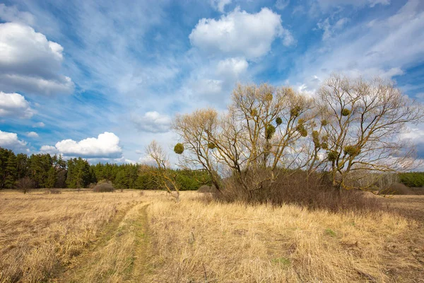 Camino Tierra Primavera Estepa Bajo Bonitas Nubes Cielo Paisaje Ucrania —  Fotos de Stock