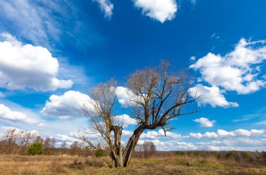 # Güzel mavi gökyüzü altında # # Bulutlu # # Ukrayna 'da al #