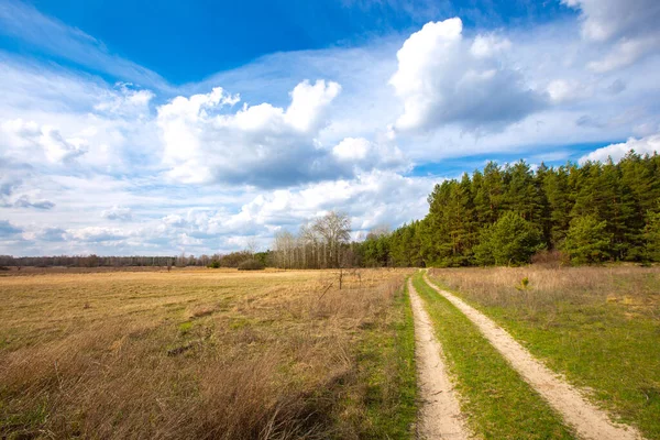 Onverharde Weg Landbouwveldgrens Het Voorjaar Landschap Uit Oekraïne — Stockfoto