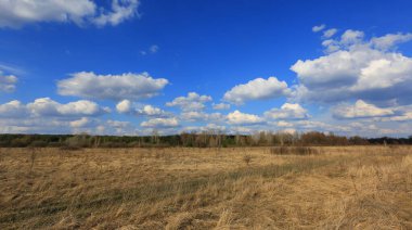 Baharın başlarında bozkırda. Gökyüzündeki güzel bulutların altındaki kuru çayırlar. Ukrayna 'dan manzara