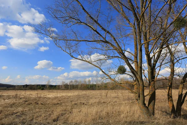 Bella Giornata Primaverile Steppa Paesaggio Ucraina — Foto Stock