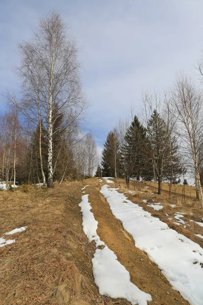 Vårlandskap Med Gångväg Sista Snön Bergen Ukraina — Stockfoto