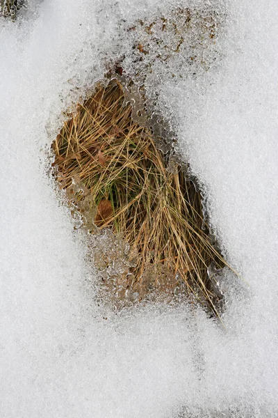 Gesmolten Sneeuw Het Grasoppervlak Het Veld Abstracte Natuurlijke Achtergrond — Stockfoto