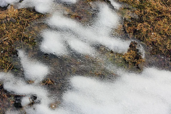 Abstract Natural Background Melted Snow Grass — Zdjęcie stockowe