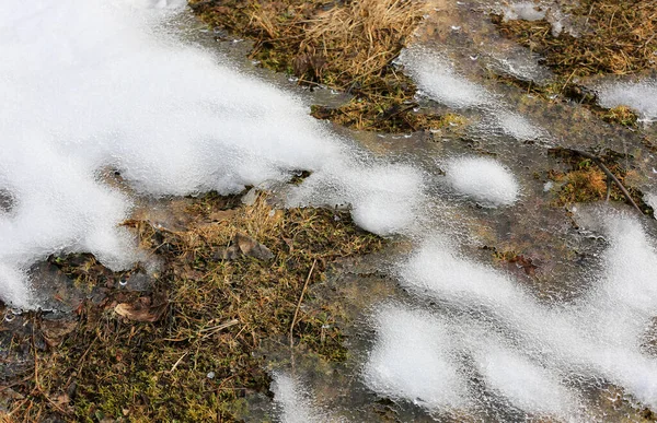 Melted Snow Grass Abstract Background — 스톡 사진