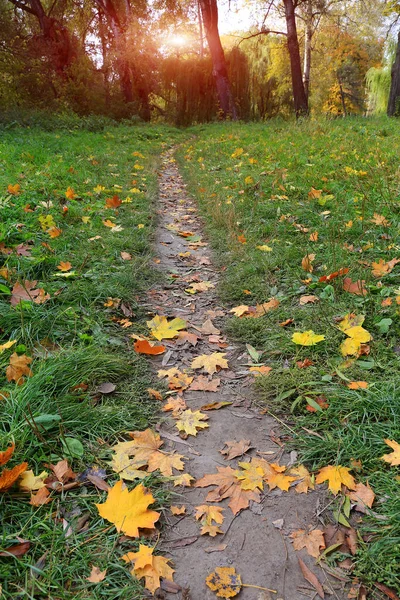 Paesaggio Con Sentiero Nel Parco Autunnale — Foto Stock