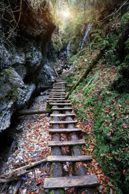 Derin, vahşi bir dağ geçidinde tahta merdiven. Slovakya 'daki Slovenya Ulusal Parkı' na gelin.