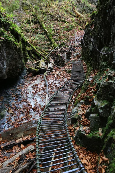 山の中でステップと風景 スロバキアのパラダイス国立公園に行く — ストック写真