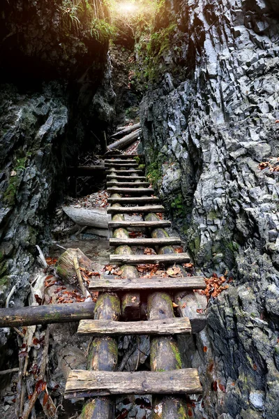 Wooden Steps Mountains Take Slovak Paradise National Park — Stock Photo, Image