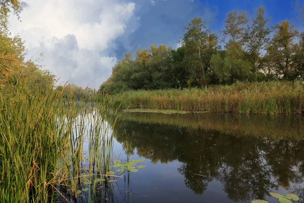 Nce Letni Poranek Krajobraz Małej Rzece Ukrainie — Zdjęcie stockowe