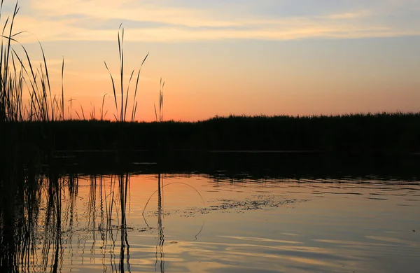 Caldo Paesaggio Serale Sul Lago Prendilo Ucraina — Foto Stock