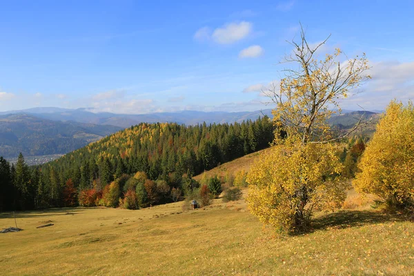 Красивый Осенний Пейзаж Украинских Карпатах — стоковое фото