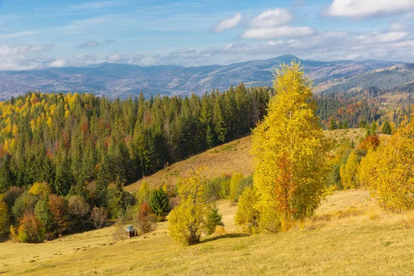 Landscape Golden Trees Autumn Mountains Carpathians Ukraine — Stok fotoğraf