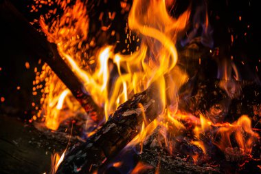 Hot flame of campfire on burning wood