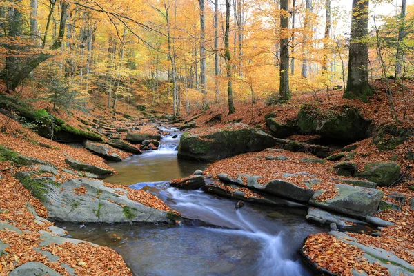 Krajobraz Góry Rzeki Lesie Jesienią — Zdjęcie stockowe