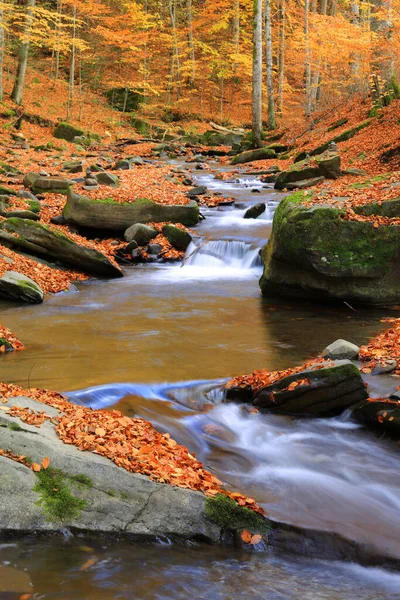 Schöne Herbstlandschaft Mit Gebirgsbach Herbstwald — Stockfoto