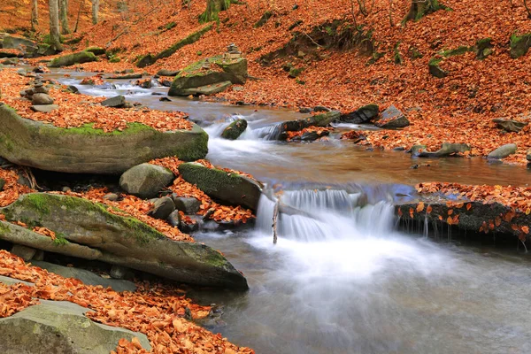 Podzimní Krajina Horským Potokem Lese — Stock fotografie