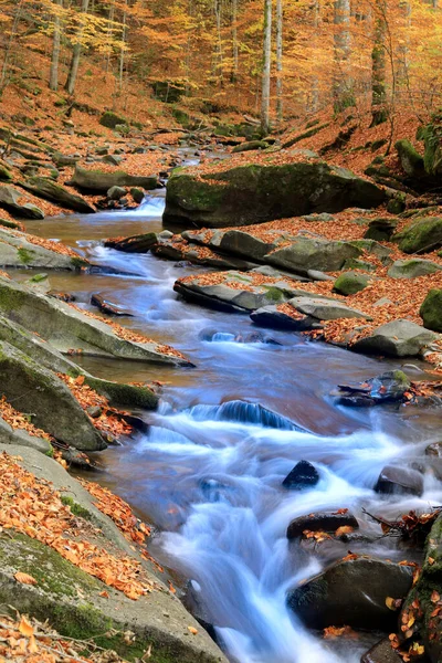 Paisagem Com Ribeiro Montanha Floresta Outono Tomá Ucrânia — Fotografia de Stock