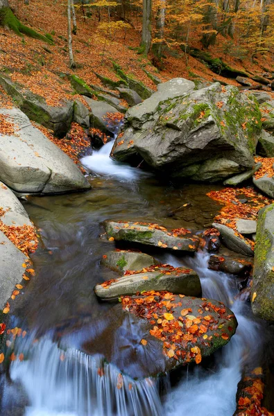 Autumn Landscape Waterfall Mountain River Stock Image