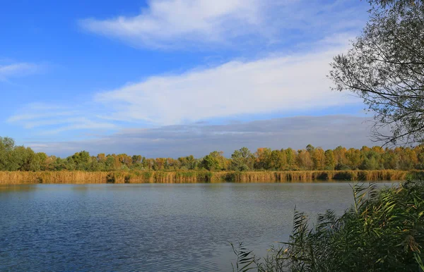 美丽的风景 森林里有秋天的湖泊 — 图库照片