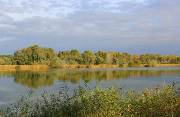 Autumn Landscape River Forest — Stock Photo, Image