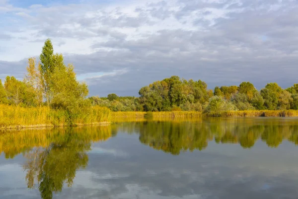 Scena Autunnale Sul Lago Nella Foresta — Foto Stock