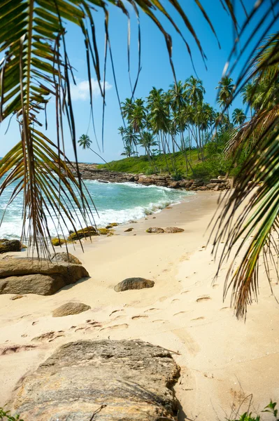 Praia tropical intocada no Sri Lanka — Fotografia de Stock