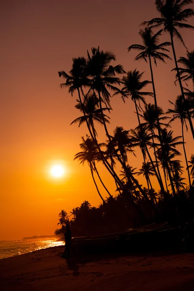 Bellissimo tramonto tropicale — Foto Stock