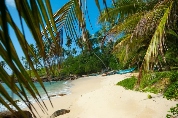 Spiaggia tropicale incontaminata — Foto Stock
