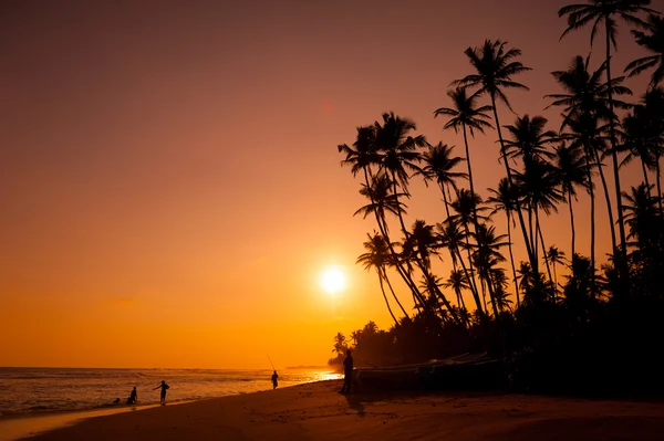 Piękny tropikalny zachód słońca — Zdjęcie stockowe