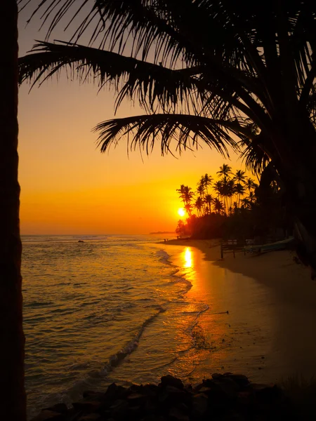 Bellissimo tramonto tropicale — Foto Stock