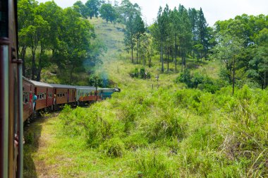sri Lanka'da tren sürme