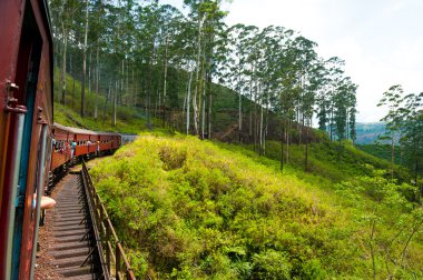 sri Lanka'da tren sürme
