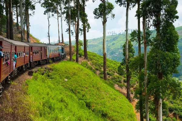 Jízda vlakem na Srí Lance — Stock fotografie