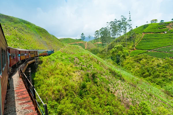 骑乘火车在斯里兰卡 — 图库照片