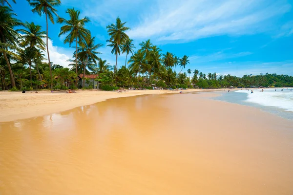 Spiaggia tropicale — Foto Stock