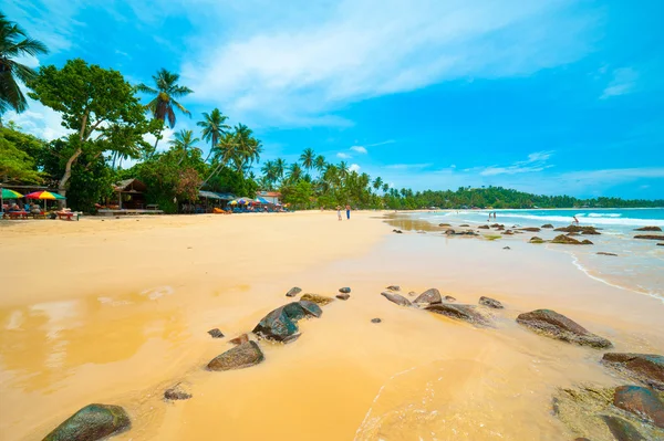 Tropischer Strand — Stockfoto