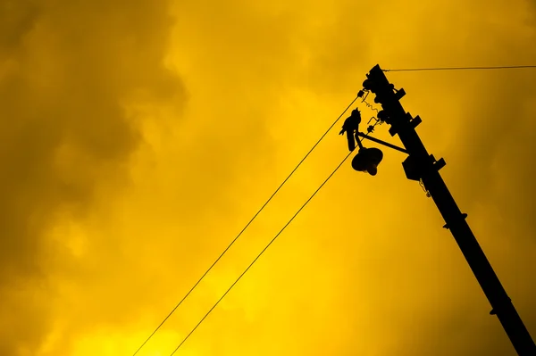 Dramatischer Hintergrund mit gelbem Himmel und der Silhouette eines Vogels — Stockfoto