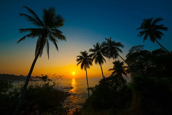 美しい熱帯の夕日 — ストック写真