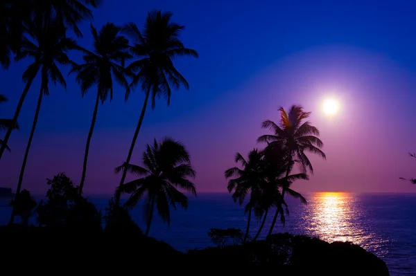 Bellissimo tramonto tropicale — Foto Stock