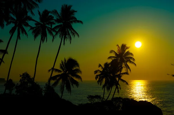 Bellissimo tramonto tropicale — Foto Stock